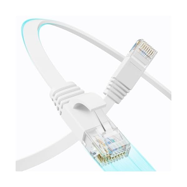 wonima11 Cat 6 Flat Ethernet Cable 100 FT, UTP 10Gbps High-Speed Cat6 Ethernet Cable, Pure Copper Cat 6 Cable, Long Ethernet Cable for Home or Office Network Wiring, White