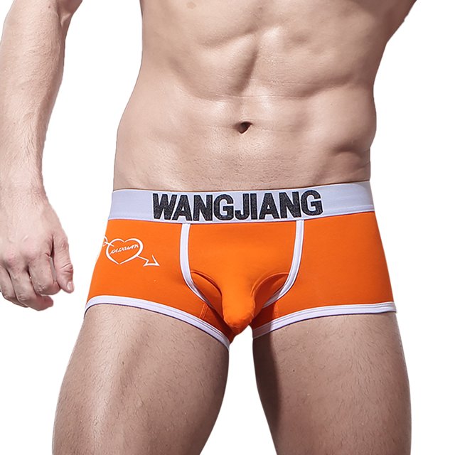 toraway Male Fashion Underpants Knickers Ride Up Briefs Underwear Pant Panties L