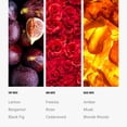 thumbnail image 4 of Aceite difusor de aromas Aroma360 Hotel Collection Black Velvet 50 ml, 4 of 7