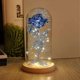 thumbnail image 1 of Beauty And The Beast Rose Enchanted Flower With Led Light In Glass Dome For Christmas Valentine's Day Mother's Day Birthday Best Gifts For Girlfriend, 1 of 3