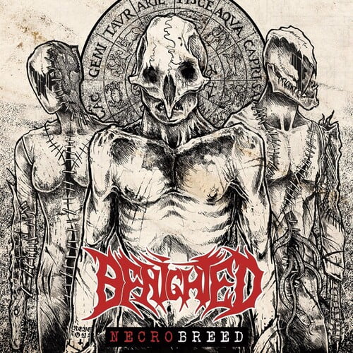 Benighted - Necrobreed - Rock - CD