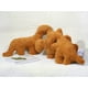 thumbnail image 2 of Juguete de peluche Nugget almohada de peluche, 2 of 6