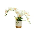thumbnail image 5 of TISHITA Artificial Flower Faux Phalaenopsis Orchid Durable Ornament Decoration Centerpieces Potted Plants Bonsai for New Year Office White, 5 of 8