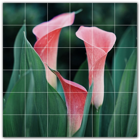 Picture-Tiles.com: Flowers Ceramic Tile Wall Mural WAL500621-66M. 36"W x 36"H using (36) 6" x 6" Ceramic Tiles-Satin Finish
