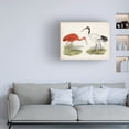 thumbnail image 3 of Unknown 'Antique Waterbirds II' Canvas Art, 3 of 3