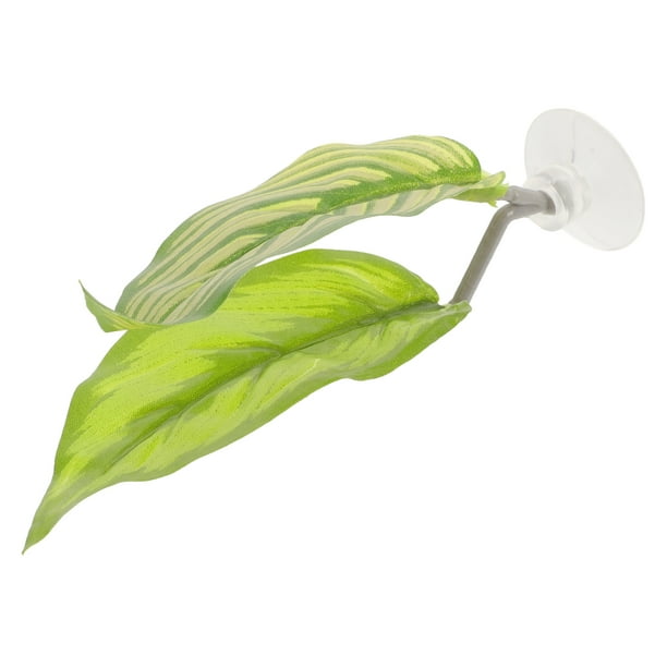 TABLETREANDS Hoja Soporte Betta Plástico Con Ventosa Para De Descanso Y Reproducción