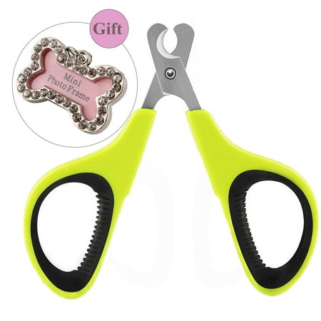 Pet Nail Clippers for Small Animals,Best Cat Nail Clippers & Trimmer for Paw Grooming,Claw Clippers Scissors & Nail Cutter For (Best Type Of Dog Nail Clippers)