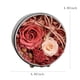 thumbnail image 3 of Flores preservadas en caja de flores, rosas duraderas para decorar el hogar, el Día de la Madre, cumpleaños, aniversario, caja de regalo, 3 of 5