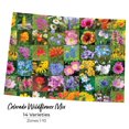 thumbnail image 2 of Created By Nature 53,000 Colorado Wildflower Seeds, Attracts Pollinators, 2 of 4