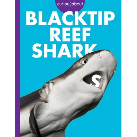 Curious about Blacktip Reef Sharks, (Paperback)