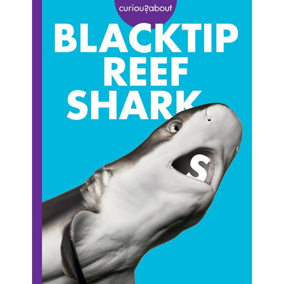 Curious about Blacktip Reef Sharks, (Paperback)