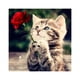 thumbnail image 2 of Gatito travieso gato rosa 5D diamante DIY pintura artesanía decoración del hogar Tmvgtek decoración de arte en el hogar, 2 of 7