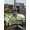 White Grass Green, variant on St Patrick's Day Outdoor Tablecloth - 54 Inch Round Dining Table Cover, Lucky Shamrock Tree Gnomes Truck Leaf Green Waterproof Outdoor Table Cloth with Umbrella Hole & Zipper for Picnic/Patio/Party