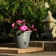 thumbnail image 4 of Bloem LP0860 8" Pepper Lucca Planter, 4 of 8