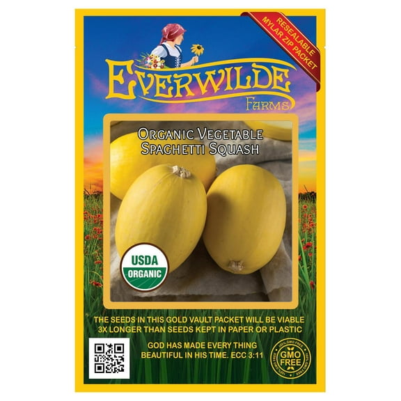 Everwilde Farms - 20 Organic Vegetable Spaghetti Winter Squash Seeds - Gold Vault Jumbo Bulk Seed Packet