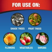 Garden Tech Daconil Fungicide 3-Way Control, Concentrate, 16 fl. oz., 1 Count