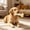Yellow, variant on Winter Poetry Upgrade Bone Shaped Dog Chew Toy, Teeth Cleaning Dental Stick, TPR Teething Play Toy for Small Medium Canines, 2.76x2.76x2.36in B