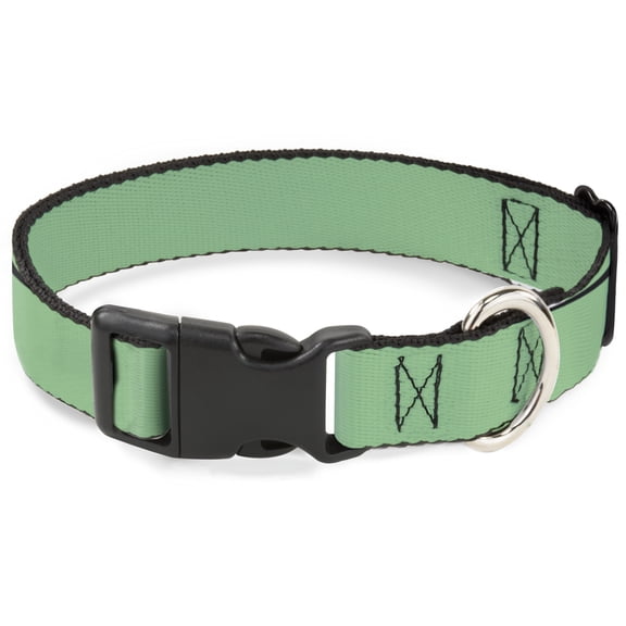 Buckle-Down Pet Collar, Dog Collar Plastic Buckle, Solid Rainforest Green, 7 to 8.5 Inches 0.5 Inch Wide