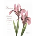 thumbnail image 2 of Koetsier, Albert 26x31 Black Ornate Wood Framed with Double Matting Museum Art Print Titled - Pink Iris - Dream, 2 of 4