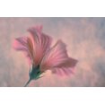 thumbnail image 2 of Water, Clear 14x11 White Modern Wood Framed Museum Art Print Titled - Dancing, 2 of 4