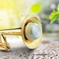 thumbnail image 3 of Cergrey Trumpet Accessory, Practice Trumpet Mute, Aluminum Alloy & Cork Strips Practice Trumpet Mute Brasses Musical Instrument Part Accessory, 3 of 7