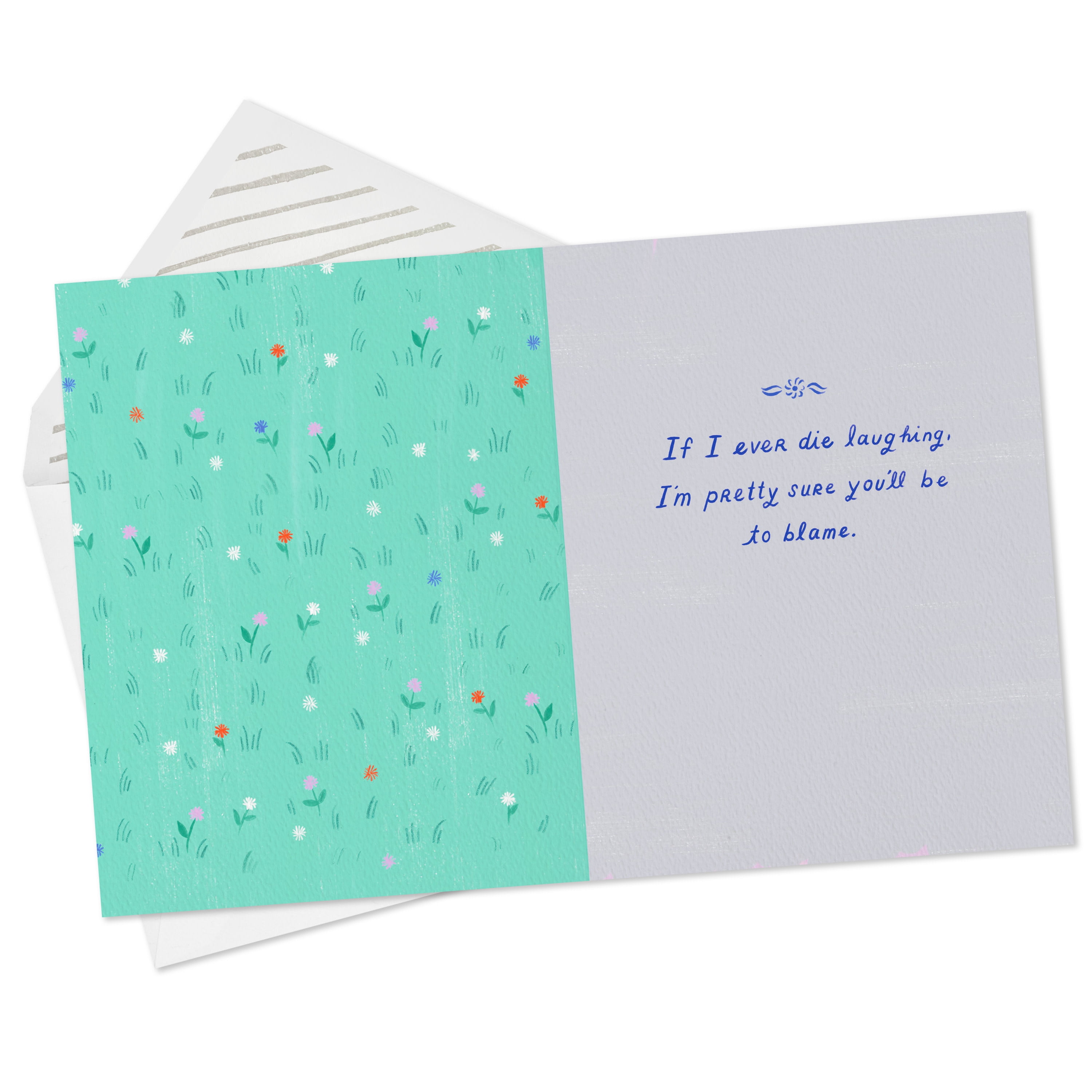 Hallmark Good Mail Funny Friendship Card (You Make Me Die Laughing)