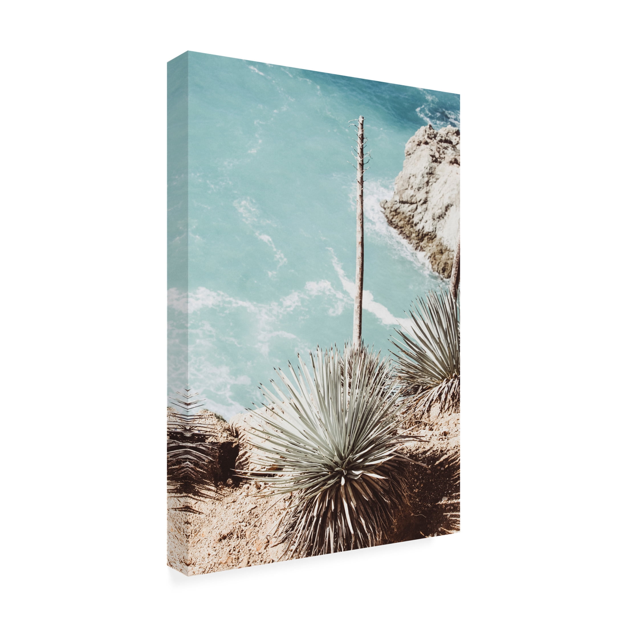 Canvas Wall Art - Krista Broadway 'Lazaro' Wall Art for Living Room, Bedroom, or Office Décor by Trademark Fine Art - 30 x 47 Inches