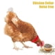 thumbnail image 4 of 2X Cockerel Rooster Quiet No Crow Anti Noise Band Collar Neck Poultry Y5P, 4 of 5