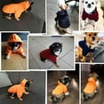 thumbnail image 7 of NUZYZ Puppy Pet Hooded Sweatshirt Autumn Winter Two-legged Pocket Cat Dog Clothes, 7 of 7