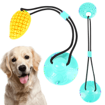2 Pack Suction Cup Dog Toys,Interactive Dog Toys Tug of War,Dog Chew Toys with Teeth Cleaning for Small Medium Dogs