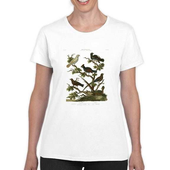 Ornithology Ii T-Shirt Women -Sydenham Edwards Designs, Female 4X-Large