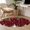 Red,Black, variant on Round Area Rugs Collection 4 Ft, Christmas Red Non-Slip Residential Carpet, Snowman Xmas Pine Branch Cardinal Bird Snowflake Indoor Crawling Mats Runner Rugs for Living Room/Dining Room/Bedroom