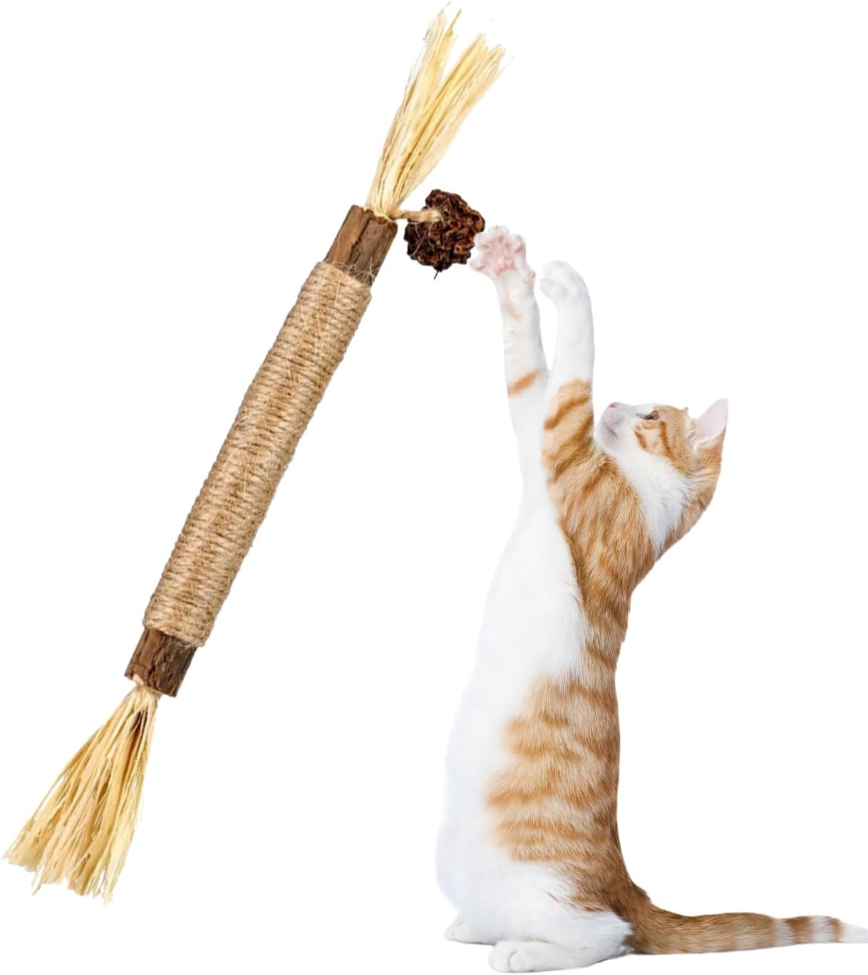 Catnip Toys for Indoor Cats, Natural Cat Chew Toys for Kitten Teething Cleaning, Interactive Adult Cat Toys for Cat Exercise- 3 Packs
