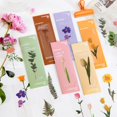 thumbnail image 2 of MYG 5 pcs/set Natural Plant flower leaves Series Bookmark PVC Reading Book mark, 2 of 6