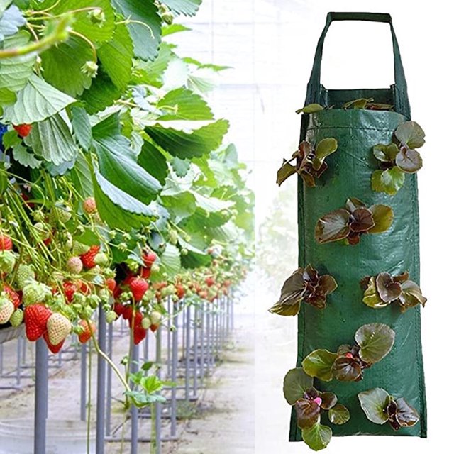 Maceta colgante de fresas, bolsas para macetas de tomates de jardín al revés, bolsas colgantes para cultivo de plantas de fresas, mango colgante resistente