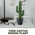 thumbnail image 4 of Artificial artificial flower tropical cactus bonsai creative decoration home decoration potted plants - type:style1;, 4 of 5