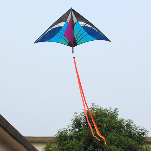 Cometas Delta Cometa de araña de juguete para niños cometas de acrobacias de