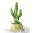 thumbnail image 2 of Tall Cactus Poster Print by Carol Robinson, 2 of 2