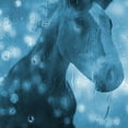 thumbnail image 2 of Phillip, Jamie 20x20 White Modern Wood Framed Museum Art Print Titled - Blue Bubble Horse, 2 of 4