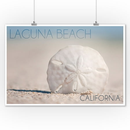 Laguna Beach Home Decor Stores Laguna Beach, California - Sand Dollar & Beach - Lantern Press Photography (9x12 Art Print, Wall Decor Travel Poster) ()