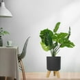 thumbnail image 4 of Almencla Pot de Plante Rond avec Pattes en Bois Intérieur Extérieur Pot de Fleurs sur Pied Gris G, 4 of 8