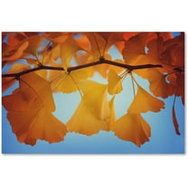 Trademark Fine Art "Spiritual Food" Canvas Art by Philippe Sainte-Laudy