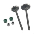 thumbnail image 1 of Valvula Admision/Escape Set Italika Dm 300 (25), 1 of 4