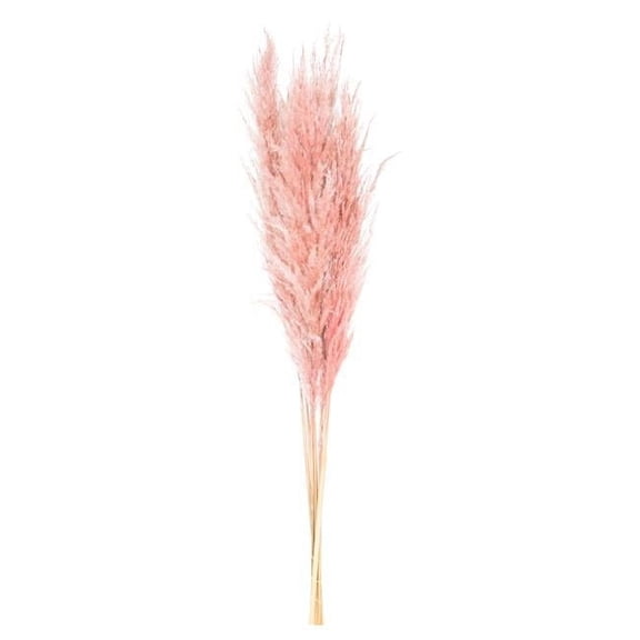 Vickerman 46" Dried Dusty Rose Pampas Grass 6 pack. It includes two stems. Recommended for Indoor.