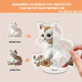 thumbnail image 3 of Rotatable acrylic ornament featuring an elegant kitten with golden fur and beautiful floral accents, perfect for enhancing your decor, 3 of 8
