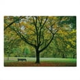 thumbnail image 2 of Tree Cutting Board, Third Season of the Year in the Park Dead Leaves Autumn to Winter Seasonal Picture, Decorative Tempered Glass Cutting and Serving Board, Large Size, Green Yellow, by Ambesonne, 2 of 5