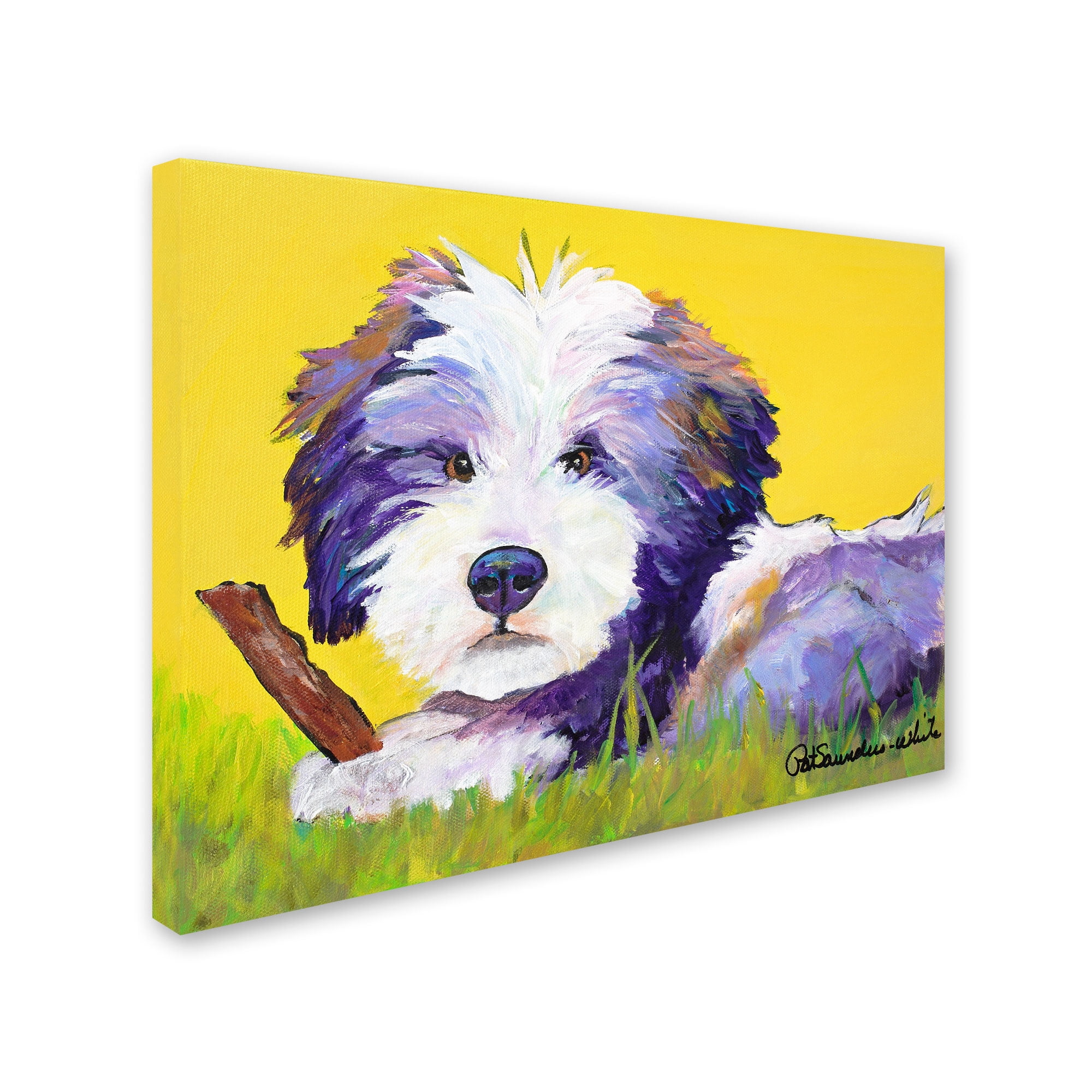 Trademark Fine Art "Chew Stick" Canvas Art by Pat Saunders-White