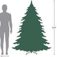 thumbnail image 3 of Northlight Clear Prelit Incandescent Green Frosted Sierra Fir Christmas Tree, 6.5', 3 of 5