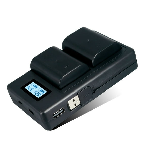 Digital Camera Battery Charger 2 Pack DMW-BLF19 Batteries with LCD Charger for Panasonic Lumix GH3 GH4 GH5 G9 DMW-BLF19E Mobile Power,2200mAh