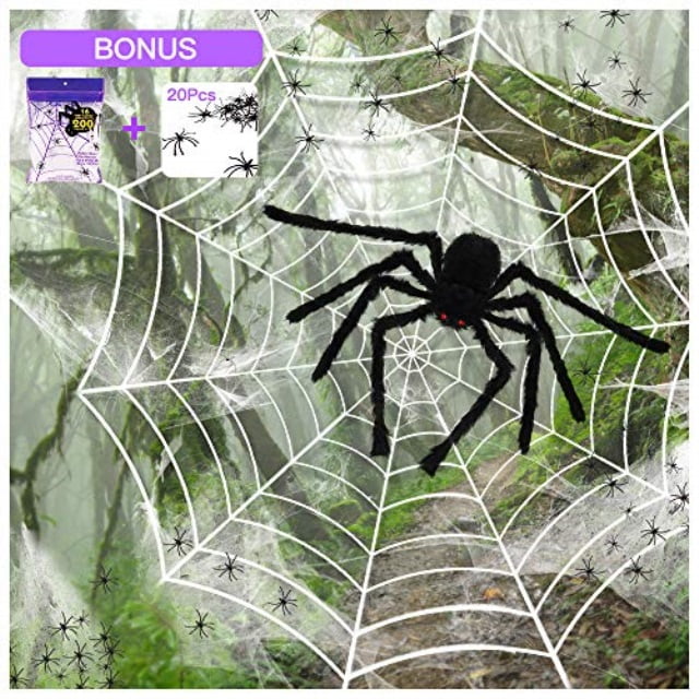 spiders party shop
